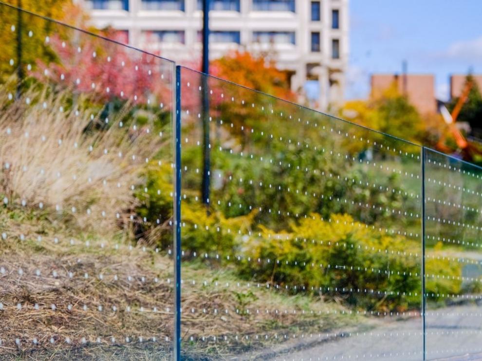 Cristal Bird-friendly